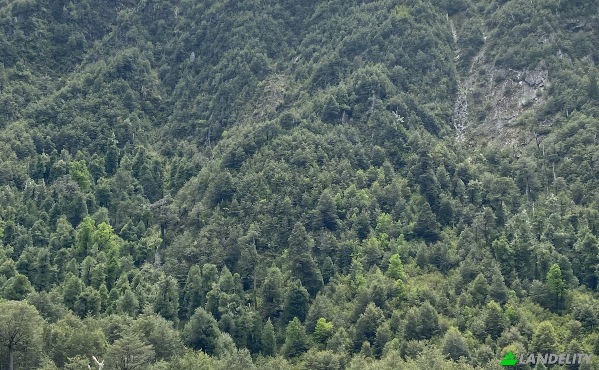 Land Lot for Sale Pucon, Cautin Province, Araucania, Chile. Photo 2
