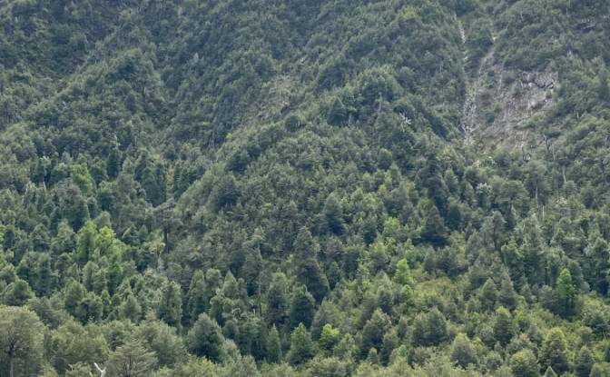 Land Lot for Sale Pucon, Cautin Province. Photo#2 Land Lot for Sale Pucon, Cautin Province. Photo#2
