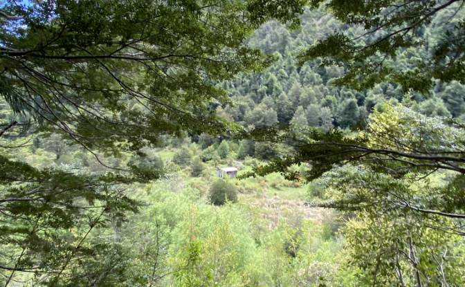 Land Lot for Sale Pucon, Cautin Province. Photo#3 Land Lot for Sale Pucon, Cautin Province. Photo#3