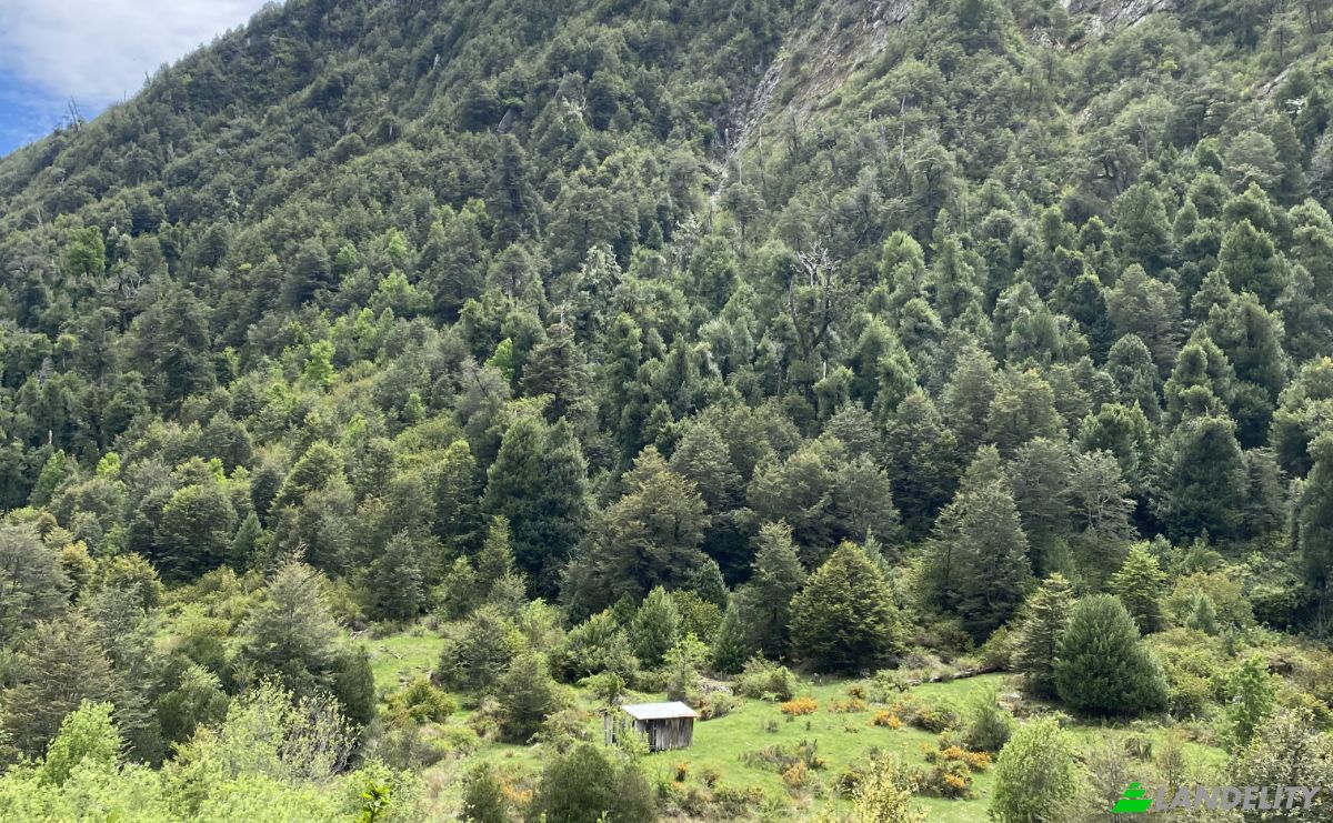 Land Lot for Sale Pucon, Cautin Province, Araucania, Chile. Photo 4