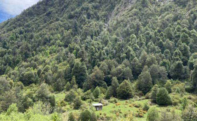 Land Lot for Sale Pucon, Cautin Province. Photo#4 Land Lot for Sale Pucon, Cautin Province. Photo#4