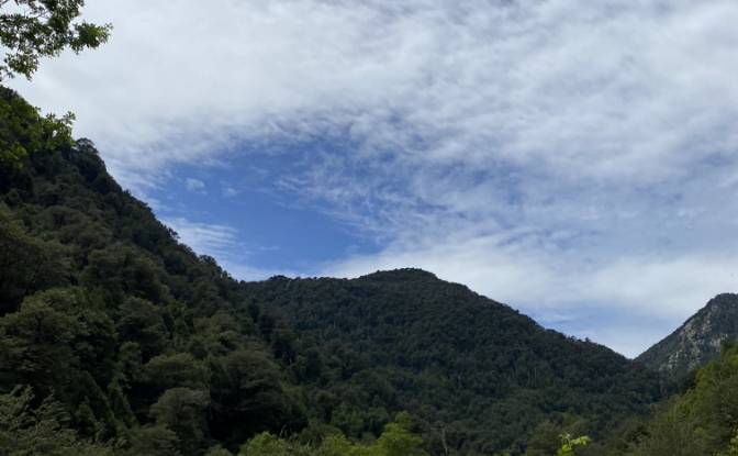 Land Lot for Sale Pucon, Cautin Province. Photo#5 Land Lot for Sale Pucon, Cautin Province. Photo#5