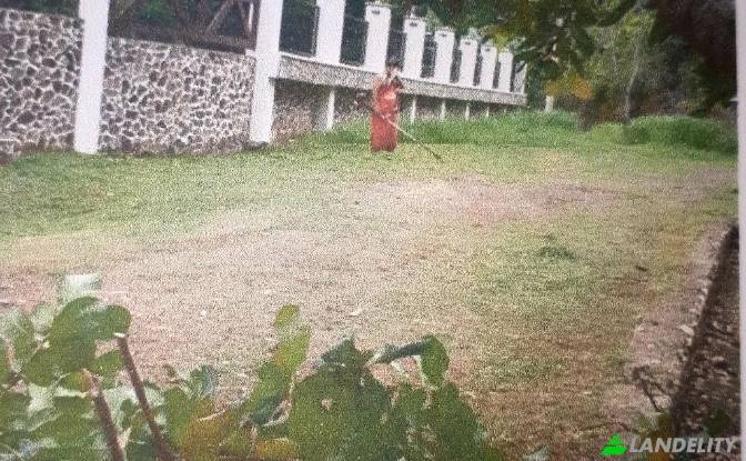 Grondperceel Te koop Puntarenas Province. Foto#4
