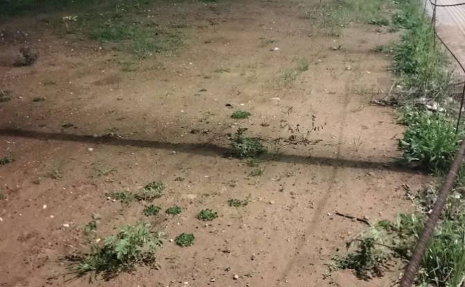 Land Lot for Sale Kourouta 272 00, Kourouta. Photo#2 Land Lot for Sale Kourouta 272 00, Kourouta. Photo#2