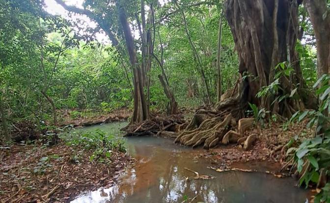 Lote de terreno à venda - Calibishie, Dominica