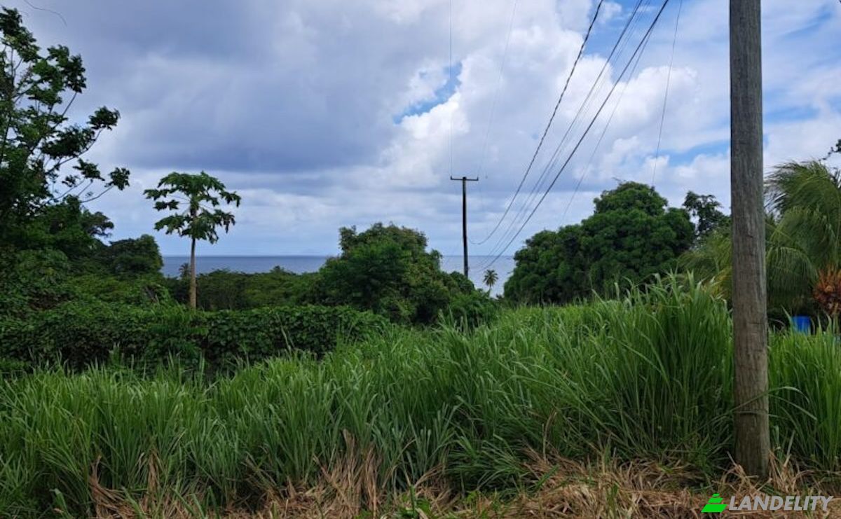 Land Lot for Sale Jno Baptiste Ridge, Calibishie, Saint Andrew Parish, Dominica. Photo 3