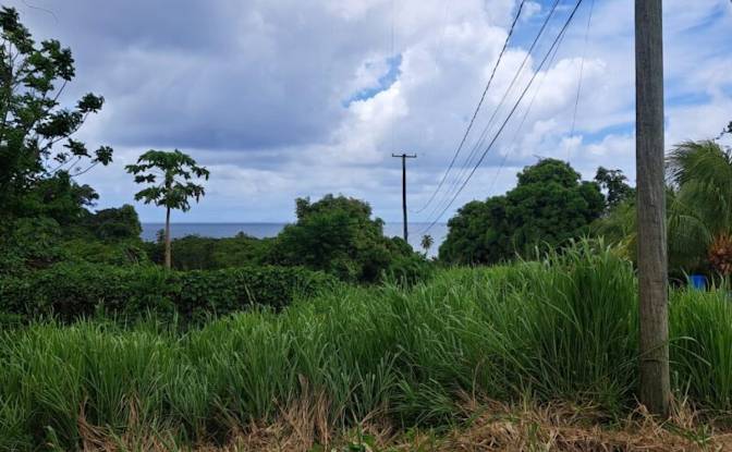 Land Lot for Sale Jno Baptiste Ridge, Calibishie. Photo#3