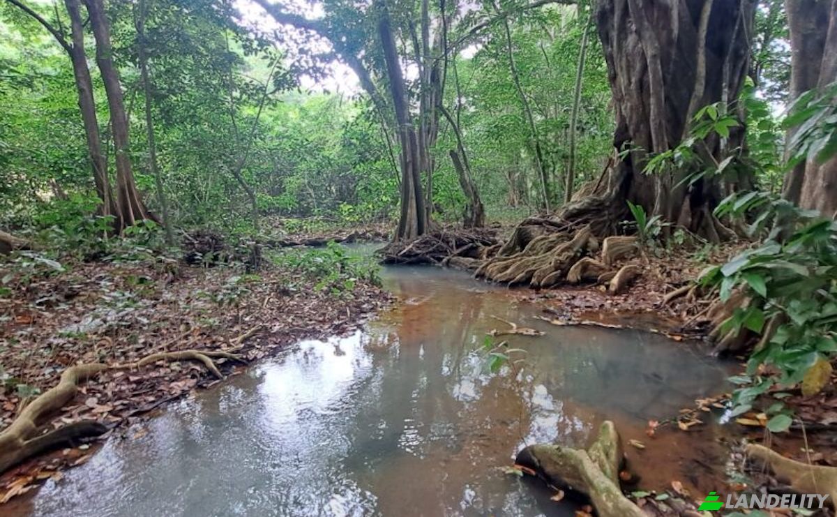 Land Lot for Sale Jno Baptiste Ridge, Calibishie, Saint Andrew Parish, Dominica. Photo 9