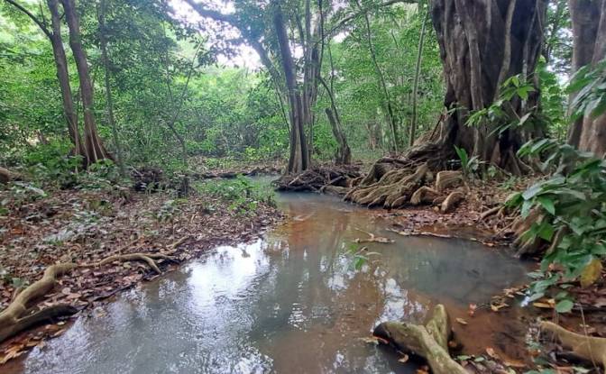Land Lot for Sale Jno Baptiste Ridge, Calibishie. Photo#9