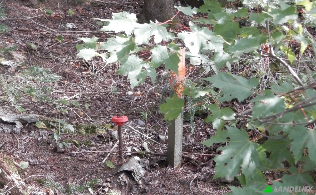 Lotto di terreno in vendita 7043 Chem Bazinet, Sainte-Agathe-des-Monts, Laurentides, Quebec, Canada, QC J8C 3S6. Foto 4