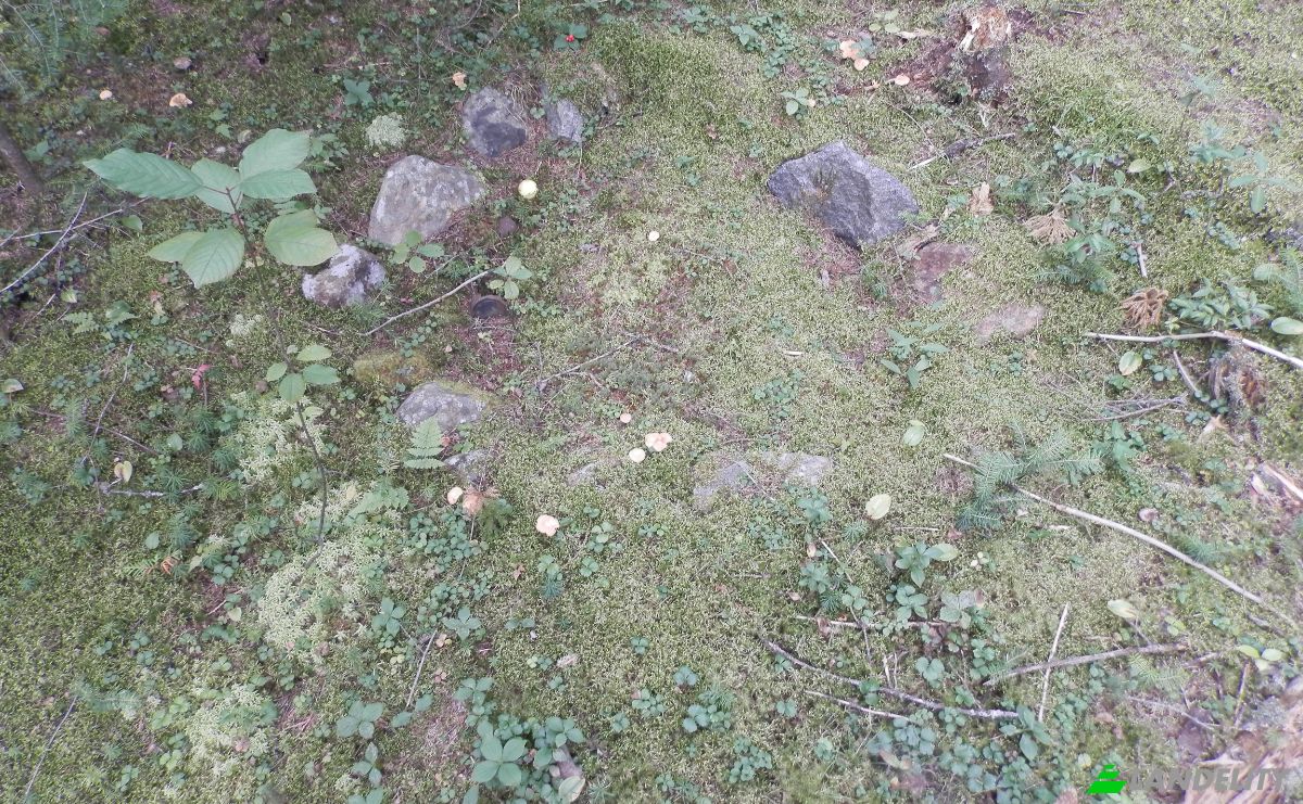 Lotto di terreno in vendita 7043 Chem Bazinet, Sainte-Agathe-des-Monts, Laurentides, Quebec, Canada, QC J8C 3S6. Foto 5