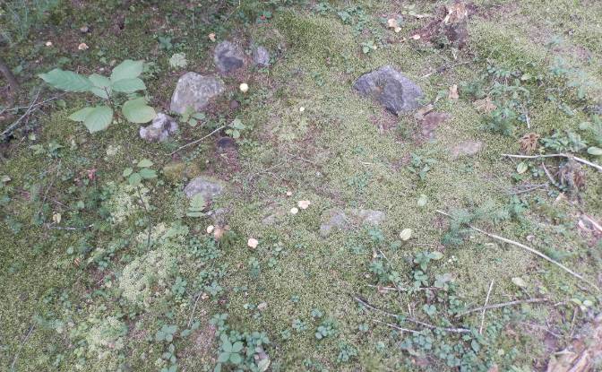Lotto di terreno in vendita 7043 Chem Bazinet. Foto#5