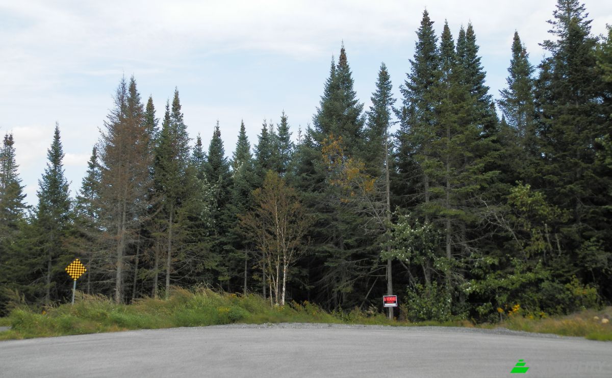 Lotto di terreno in vendita 7043 Chem Bazinet, Sainte-Agathe-des-Monts, Laurentides, Quebec, Canada, QC J8C 3S6. Foto 6