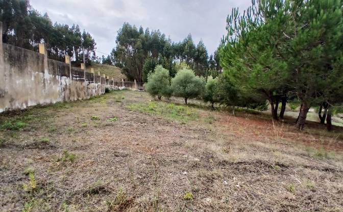 Villa for Sale R 23 de Junho 5a. Photo#6