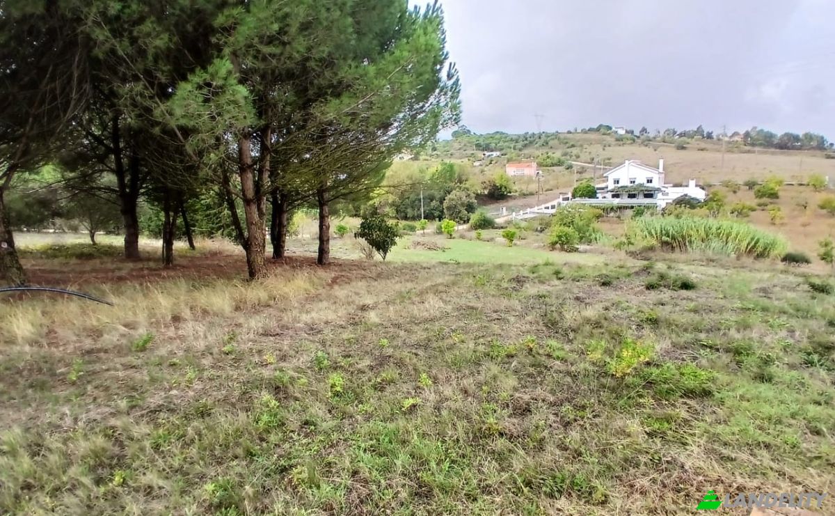 Villa for Sale R 23 de Junho 5a, 2600 Vila Franca de Xira, Vila Franca de Xira, Lisbon, Portugal. Photo 8