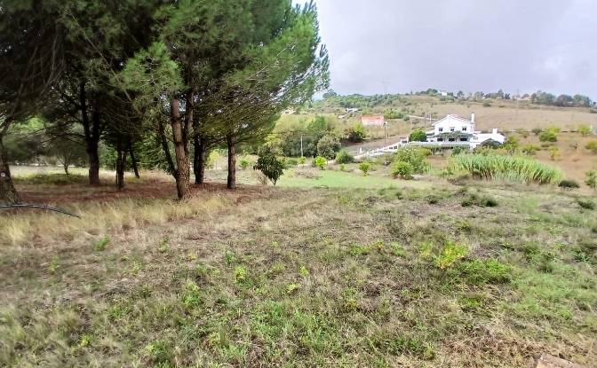 Villa for Sale R 23 de Junho 5a. Photo#8