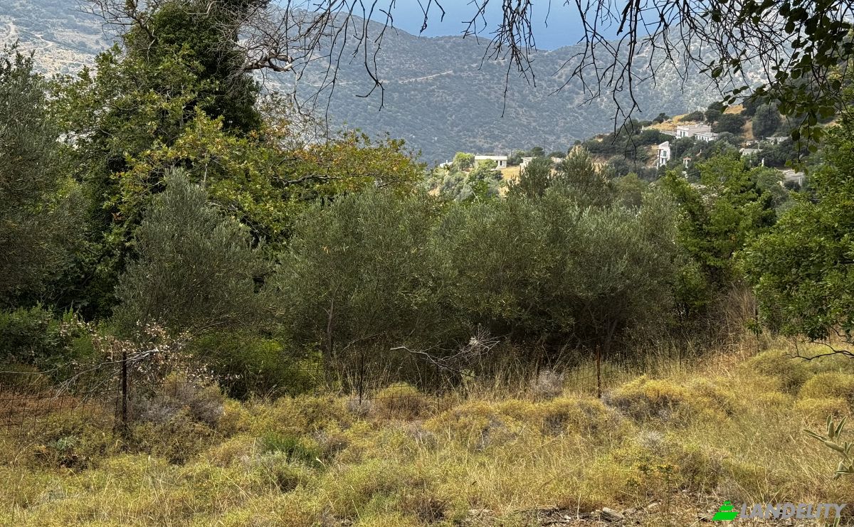 Land Lot for Sale EparOd Giannitsiou, Chanion, Karistos 340 13, Marmari, Central Greece, Decentralized Administration of Thessaly and Central Greece, Greece. Photo 10