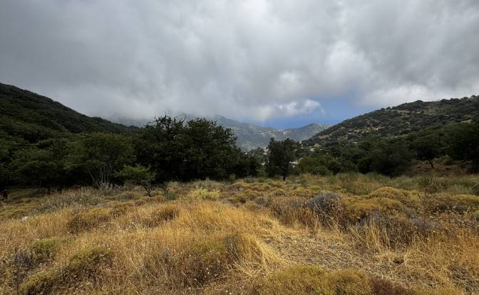 Land Lot for Sale EparOd Giannitsiou, Chanion. Photo#11 Land Lot for Sale EparOd Giannitsiou, Chanion. Photo#11