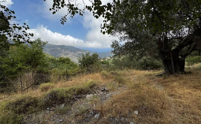Land Lot for Sale EparOd Giannitsiou, Chanion. Photo#3 Land Lot for Sale EparOd Giannitsiou, Chanion. Photo#3