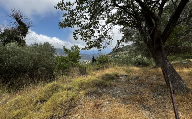 Land Lot for Sale EparOd Giannitsiou, Chanion. Photo#4 Land Lot for Sale EparOd Giannitsiou, Chanion. Photo#4