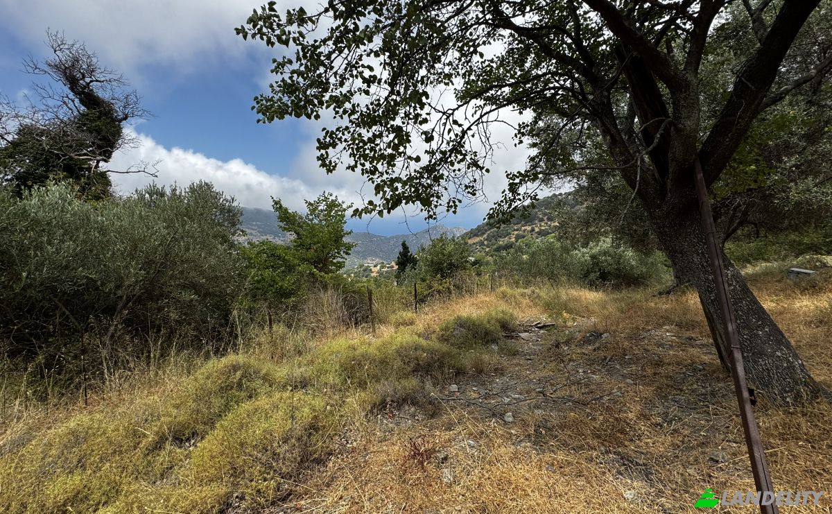 Land Lot for Sale EparOd Giannitsiou, Chanion, Karistos 340 13, Marmari, Central Greece, Decentralized Administration of Thessaly and Central Greece, Greece. Photo 5