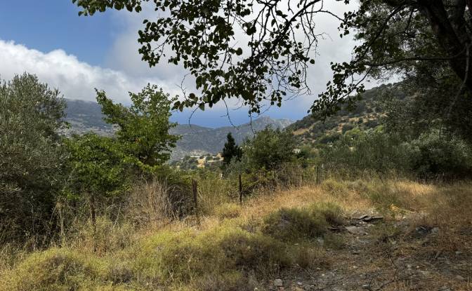 Land Lot for Sale EparOd Giannitsiou, Chanion. Photo#6 Land Lot for Sale EparOd Giannitsiou, Chanion. Photo#6