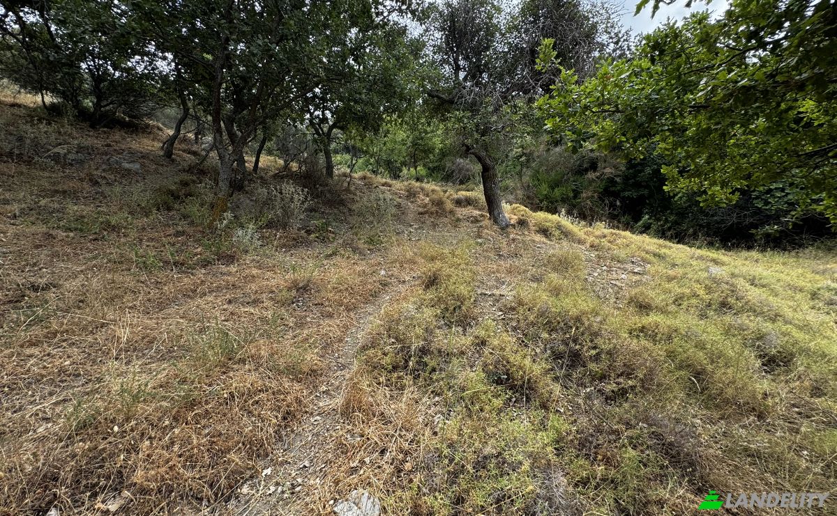 Land Lot for Sale EparOd Giannitsiou, Chanion, Karistos 340 13, Marmari, Central Greece, Decentralized Administration of Thessaly and Central Greece, Greece. Photo 8
