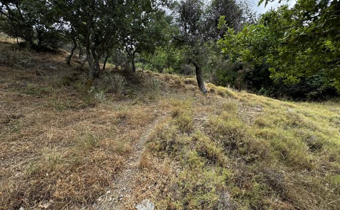 Land Lot for Sale EparOd Giannitsiou, Chanion. Photo#8 Land Lot for Sale EparOd Giannitsiou, Chanion. Photo#8