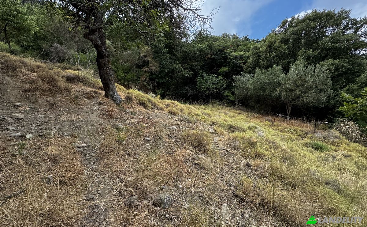 Land Lot for Sale EparOd Giannitsiou, Chanion, Karistos 340 13, Marmari, Central Greece, Decentralized Administration of Thessaly and Central Greece, Greece. Photo 9