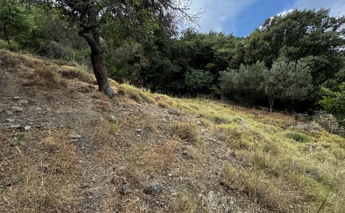 Land Lot for Sale EparOd Giannitsiou, Chanion. Photo#9 Land Lot for Sale EparOd Giannitsiou, Chanion. Photo#9
