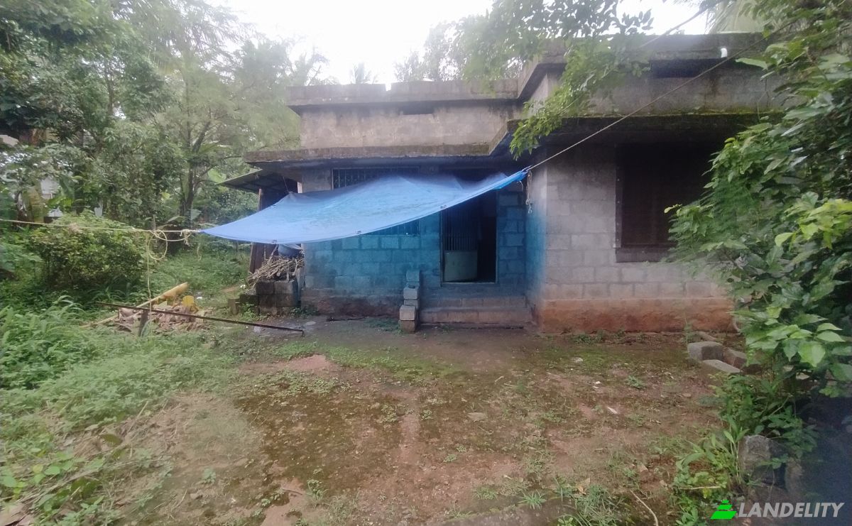 Land Lot for Sale Adat Chittilappilly Rd, Chitilappilly, Thrissur, Kerala, India, Kerala 680551. Photo 1