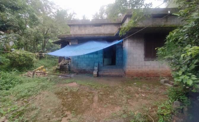 Land Lot for Sale - Chitilappilly, India