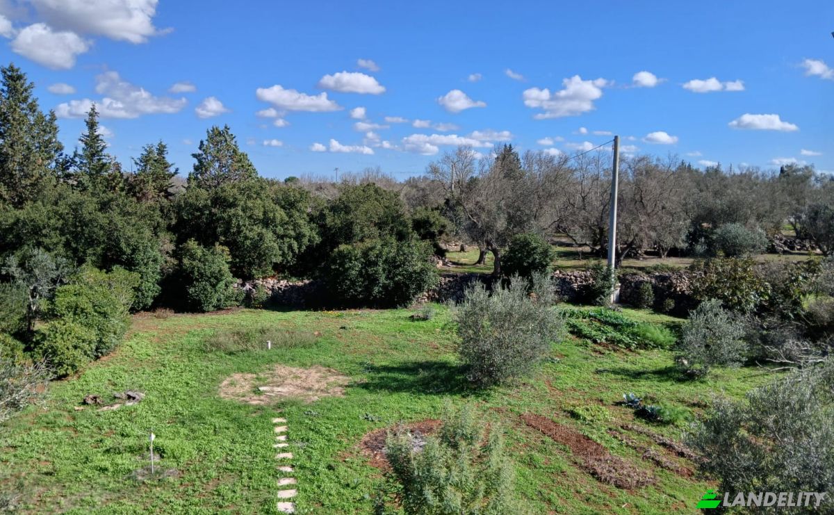 Single Family Home for Sale Via Vecchia Vecchia Parabita, 73040 Neviano LE, Neviano, Province of Lecce, Apulia, Italy. Photo 19