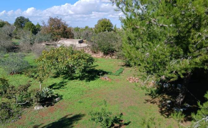 Single Family Home for Sale Via Vecchia Vecchia. Photo#20 Single Family Home for Sale Via Vecchia Vecchia. Photo#20