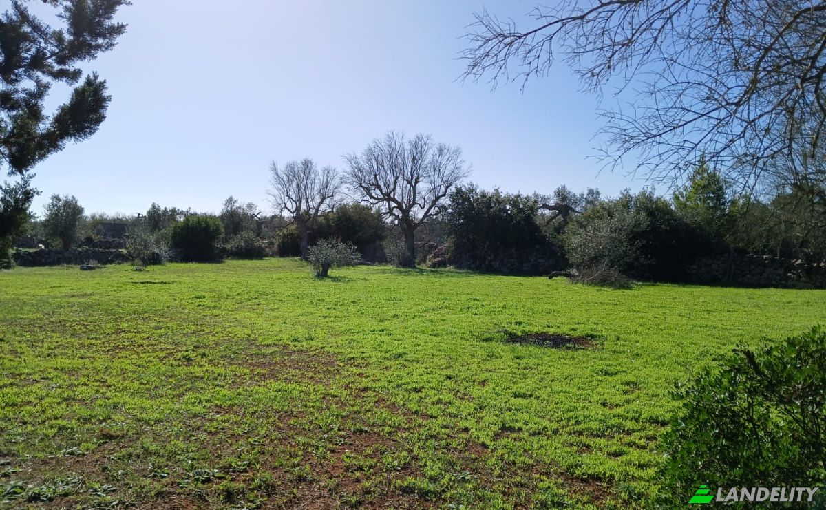 Single Family Home for Sale Via Vecchia Vecchia Parabita, 73040 Neviano LE, Neviano, Province of Lecce, Apulia, Italy. Photo 21