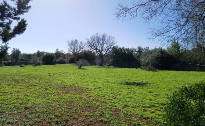 Single Family Home for Sale Via Vecchia Vecchia. Photo#21 Single Family Home for Sale Via Vecchia Vecchia. Photo#21