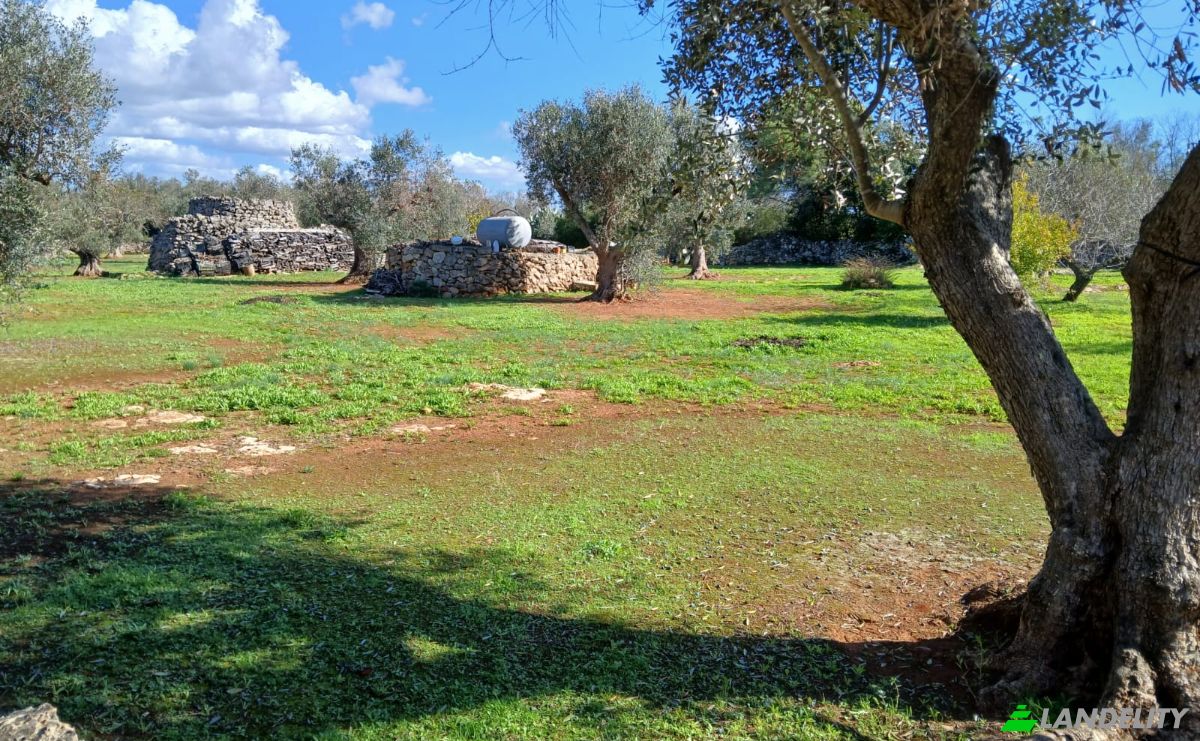 Single Family Home for Sale Via Vecchia Vecchia Parabita, 73040 Neviano LE, Neviano, Province of Lecce, Apulia, Italy. Photo 22