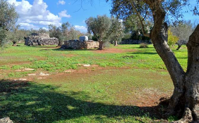 Single Family Home for Sale Via Vecchia Vecchia. Photo#22 Single Family Home for Sale Via Vecchia Vecchia. Photo#22