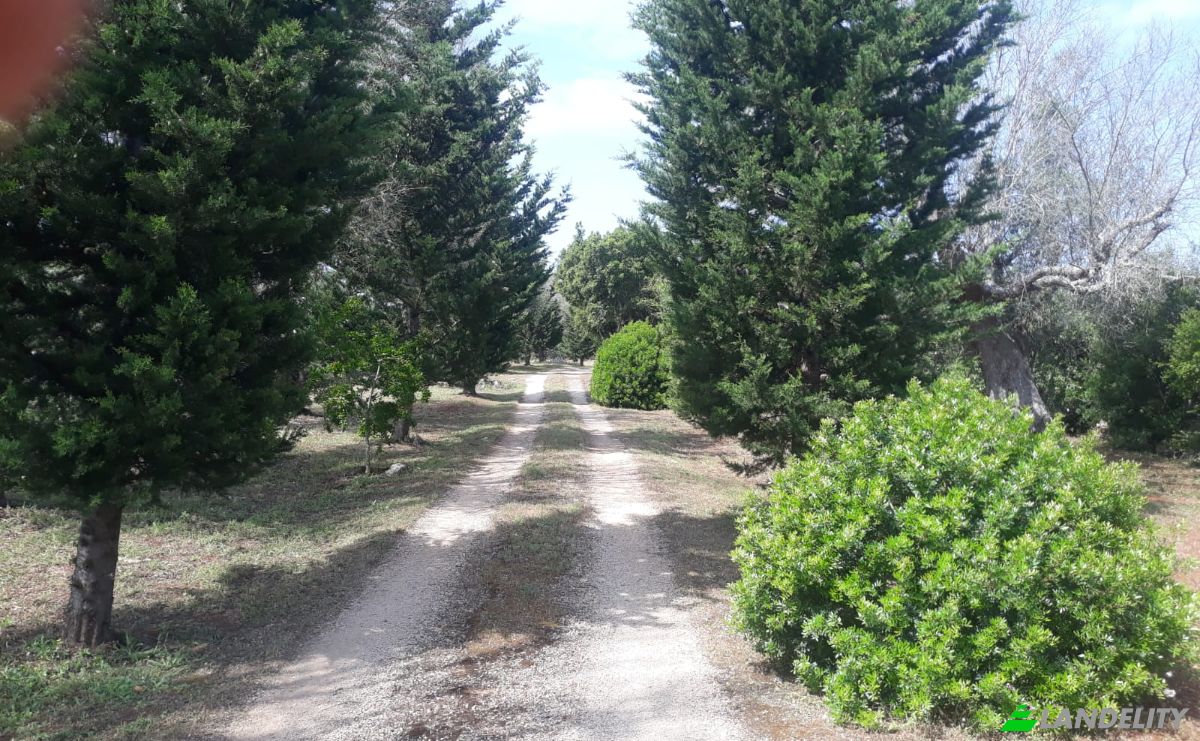 Single Family Home for Sale Via Vecchia Vecchia Parabita, 73040 Neviano LE, Neviano, Province of Lecce, Apulia, Italy. Photo 23
