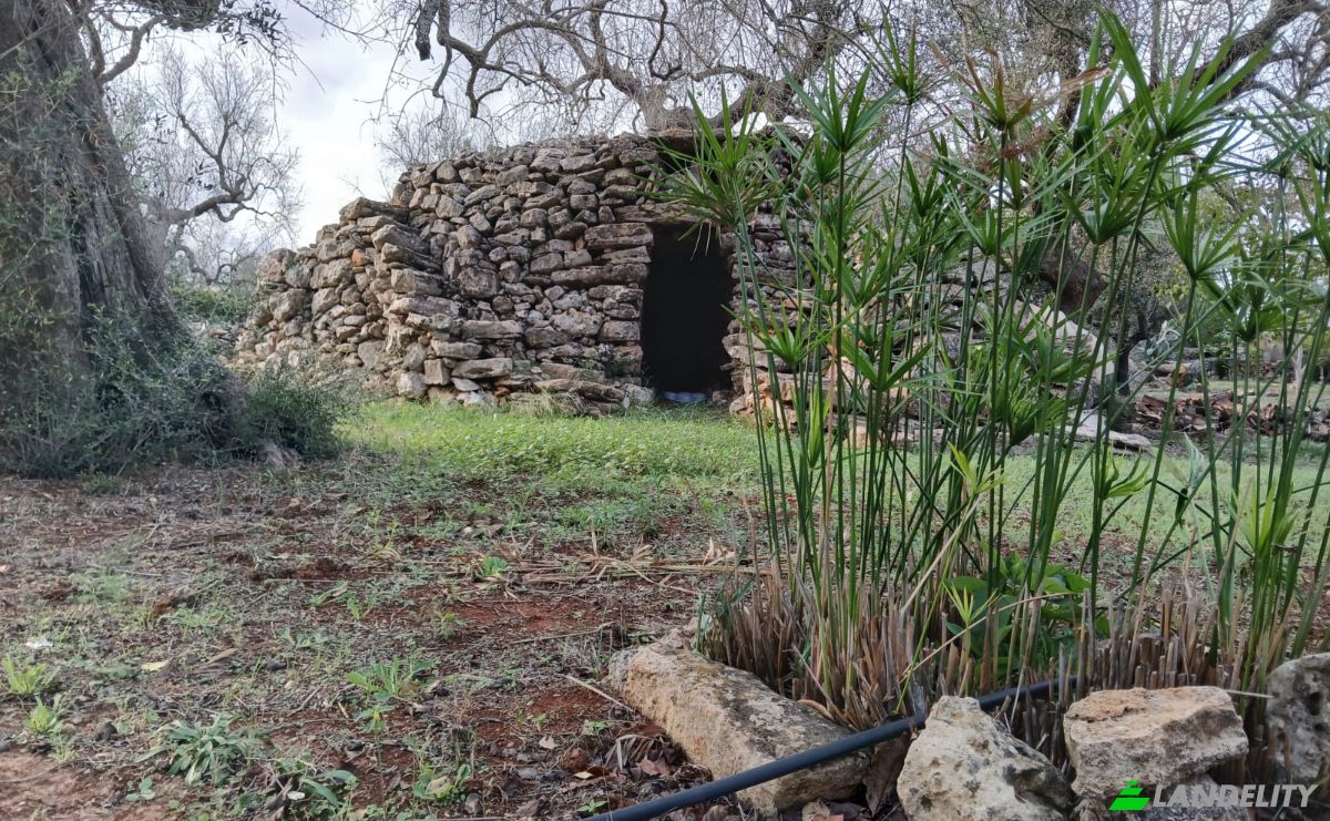 Single Family Home for Sale Via Vecchia Vecchia Parabita, 73040 Neviano LE, Neviano, Province of Lecce, Apulia, Italy. Photo 24