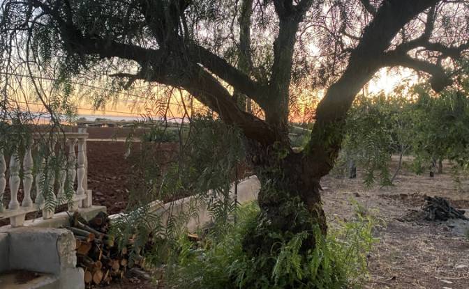 Lote de terreno en venta Contrada Carbonelli. Foto#16