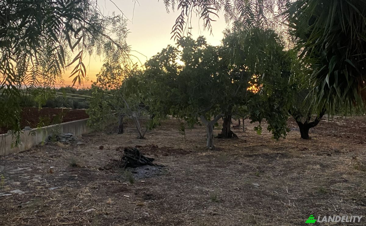 Lote de terreno en venta Contrada Carbonelli, 70014 Conversano BA, Conversano, Metropolitan City of Bari, Apulia, Italy. Foto 17