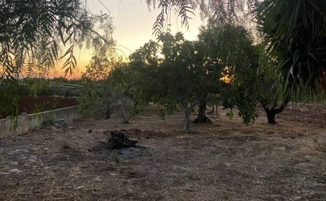 Lote de terreno en venta Contrada Carbonelli. Foto#17