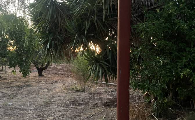 Lote de terreno en venta Contrada Carbonelli. Foto#18