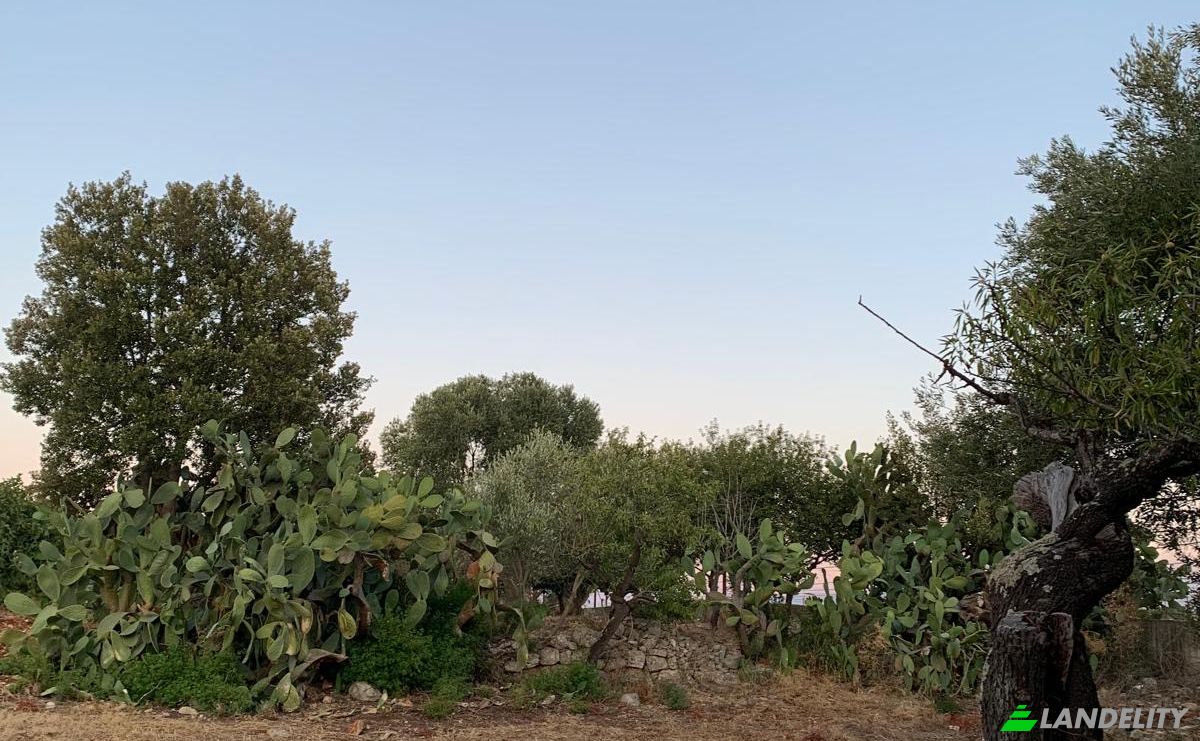 Lote de terreno en venta Contrada Carbonelli, 70014 Conversano BA, Conversano, Metropolitan City of Bari, Apulia, Italy. Foto 20