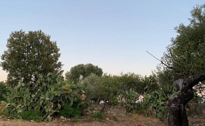 Lote de terreno en venta Contrada Carbonelli. Foto#20