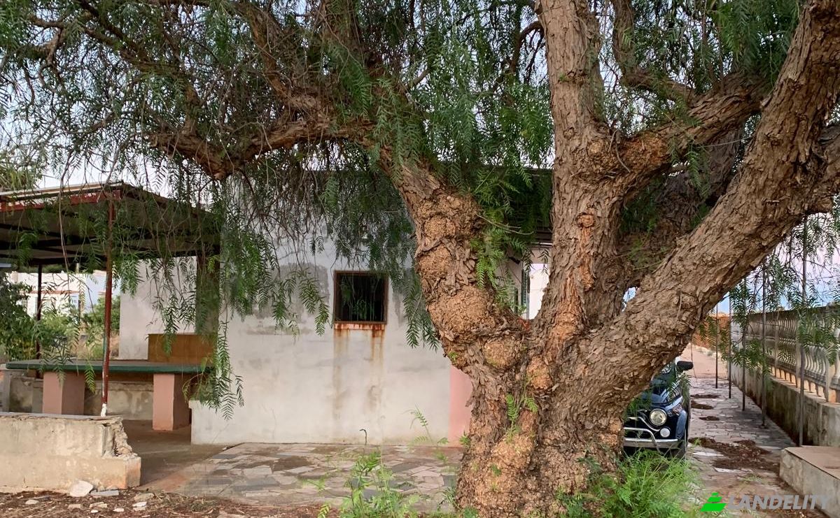 Lote de terreno en venta Contrada Carbonelli, 70014 Conversano BA, Conversano, Metropolitan City of Bari, Apulia, Italy. Foto 3