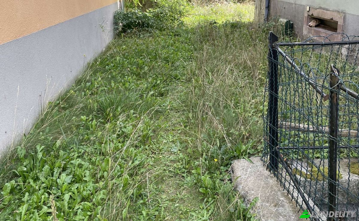 Investimento/Desenvolvimento à venda 37 Rue Principale, 68470 Mollau, Mollau, Haut-Rhin, Grand Est, France. foto 2