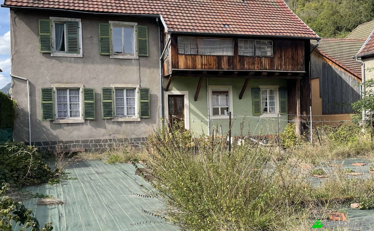 Investimento/Desenvolvimento à venda 37 Rue Principale, 68470 Mollau, Mollau, Haut-Rhin, Grand Est, France. foto 3
