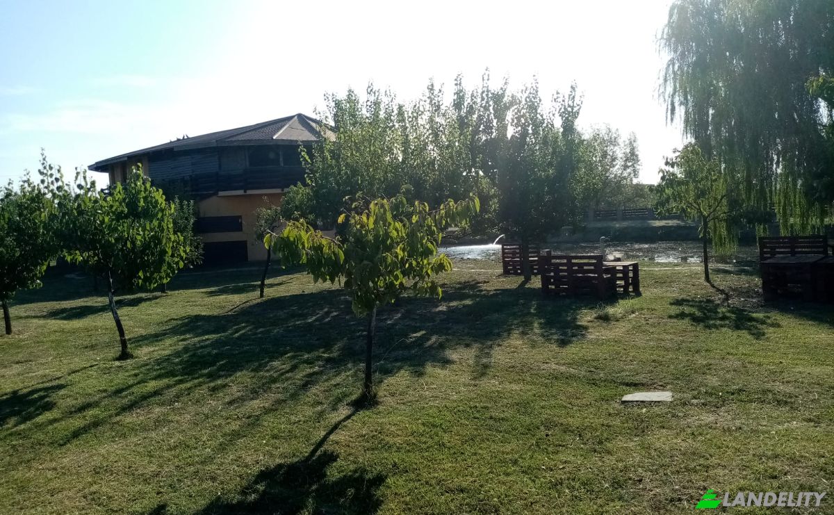 Maison unifamiliale à vendre DN6, Becicherecu Mic 307040, Becicherecu Mic, Timis, Romania. Photo 9